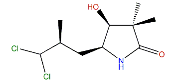 Dysidamide C